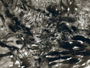 Tinta 73 – Lavis